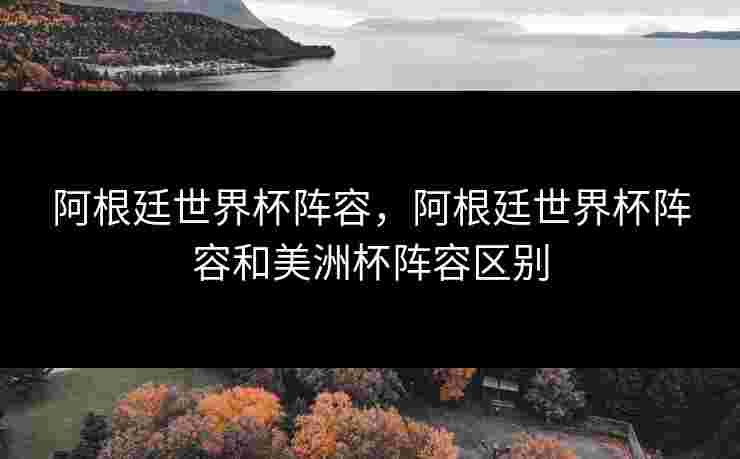 阿根廷世界杯阵容，阿根廷世界杯阵容和美洲杯阵容区别